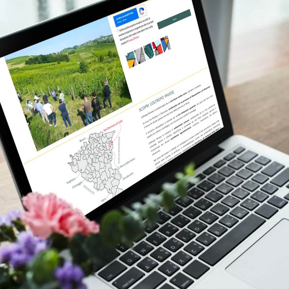 WEB DESIGN ALESSIO BRANDOLINI VINI 3