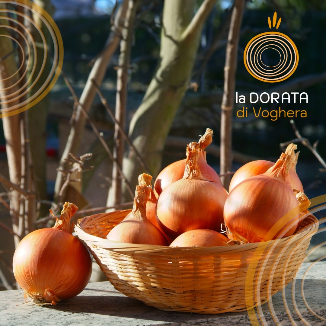 la-dorata-social